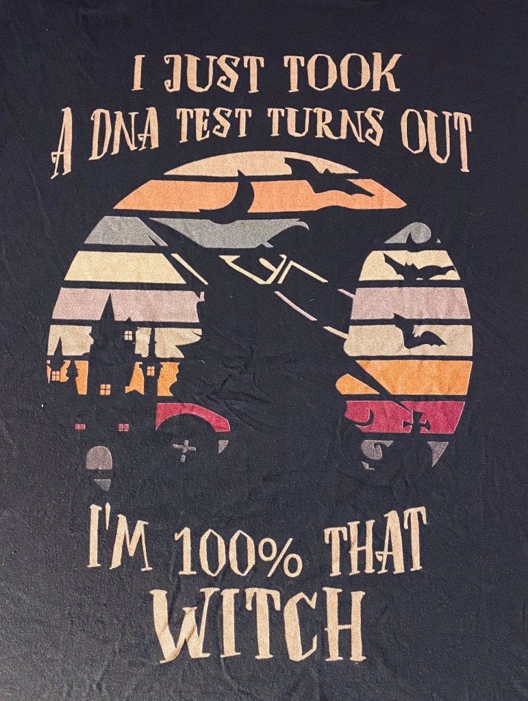 Silhouette of a witch against a multicolored sky with bats and a crescent moon. The image is surrounded by this slogan: "I just took a DNA test, turns out I'm 100% that witch."
